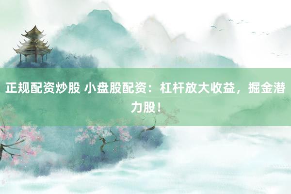 正规配资炒股 小盘股配资：杠杆放大收益，掘金潜力股！