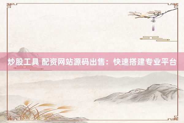 炒股工具 配资网站源码出售：快速搭建专业平台