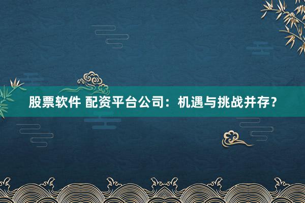 股票软件 配资平台公司：机遇与挑战并存？