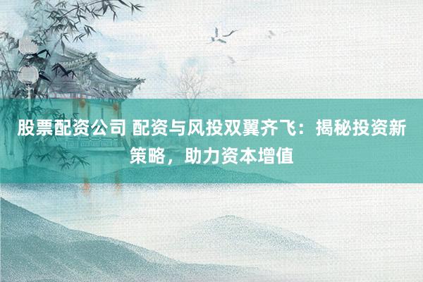 股票配资公司 配资与风投双翼齐飞：揭秘投资新策略，助力资本增值