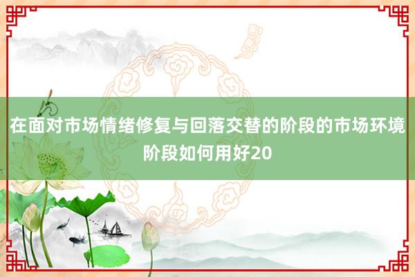 在面对市场情绪修复与回落交替的阶段的市场环境阶段如何用好20