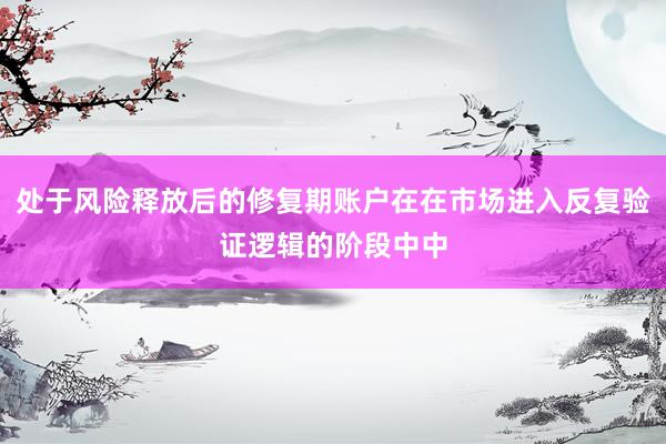 处于风险释放后的修复期账户在在市场进入反复验证逻辑的阶段中中