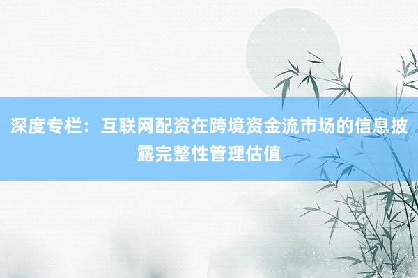 深度专栏：互联网配资在跨境资金流市场的信息披露完整性管理估值